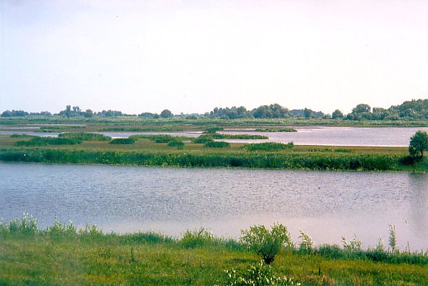 Uytek ekologiczny Rozlewiska Kostrzyneckie