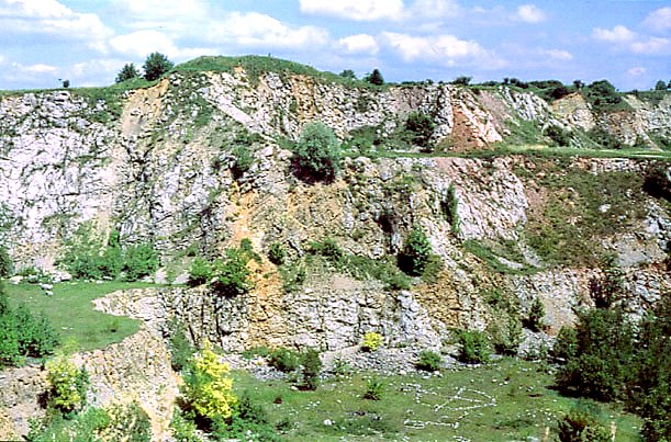 Rez. Wietrznia im. Zbigniewa Rubinowskiego 