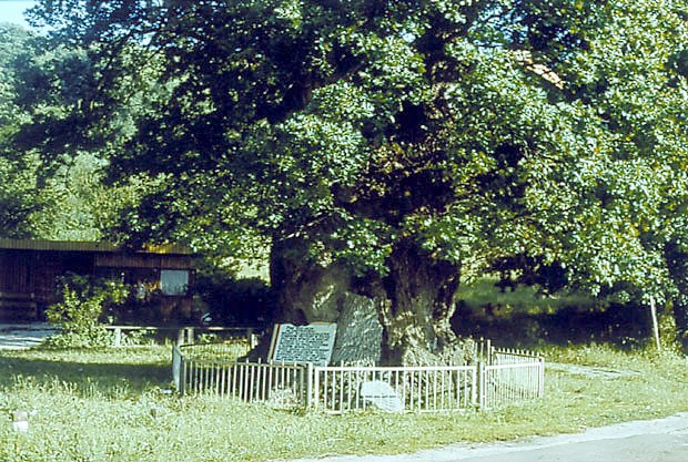 "Db im. Jana Bayskiego w Kadynach