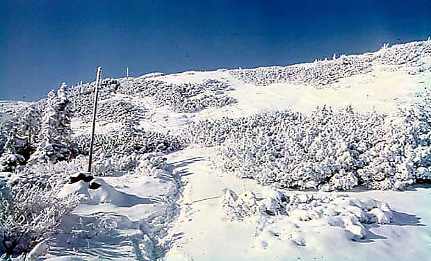 Grzbiet k. Diablaka w niegu