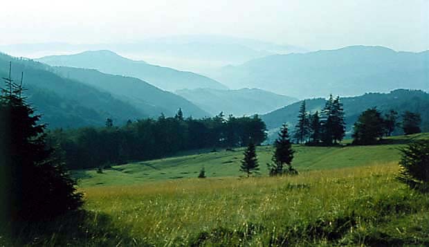 Widok z okolic Gorca w kier. Ochotnicy