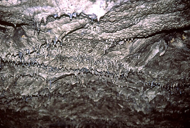 Szata naciekowa Jaskini okietka