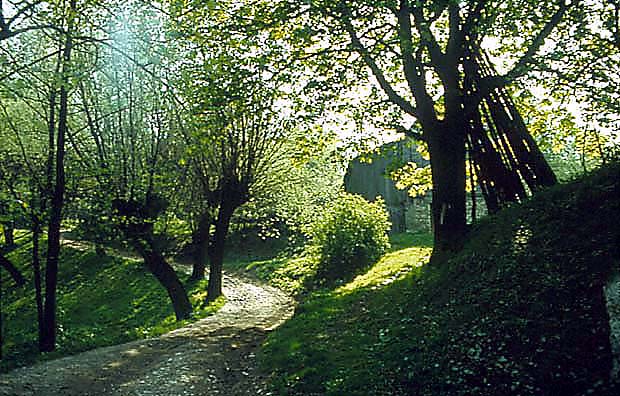 PK Dolinki Krakowskie - wiejski krajobraz kulturowy