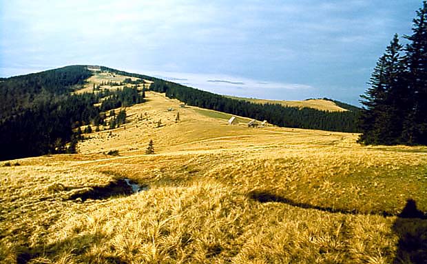 Hala Duga z widokiem na Turbacz i Czoo Turbacza