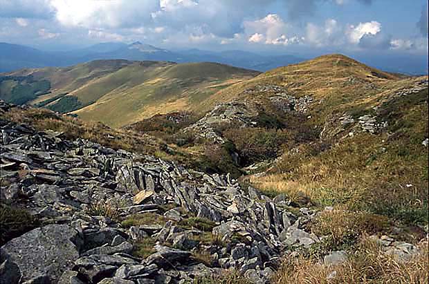 Widok spod szczytu Tarnicy ku pooninom Caryskiej i Wetliskiej