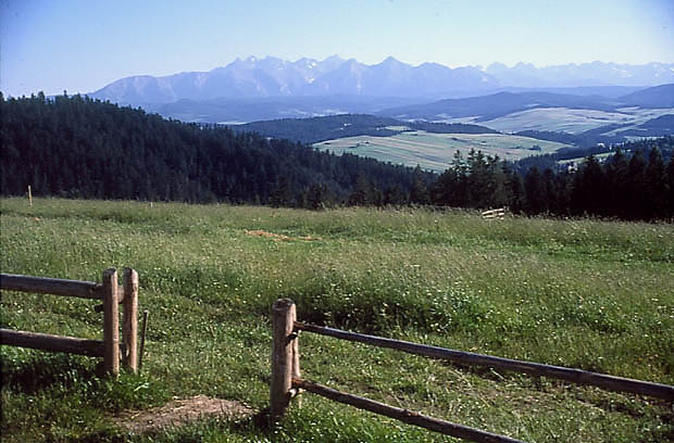 Widok z Hali Majerz na Tatry