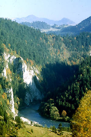 Wlot do Przeomu Pieniskiego