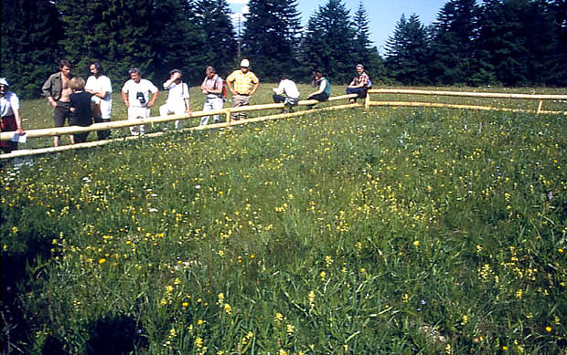 Powierzchnia badawcza na jednej z k pieniskich