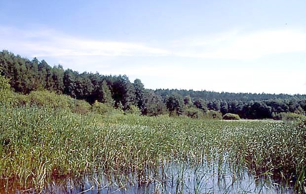 Ujcie Strugi Siedmiu Jezior