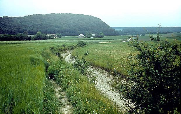 Krajobraz Wyyny Miechowskiej - rezerwat ''Dbie''