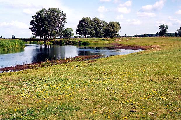 Narwiaski Park Narodowy