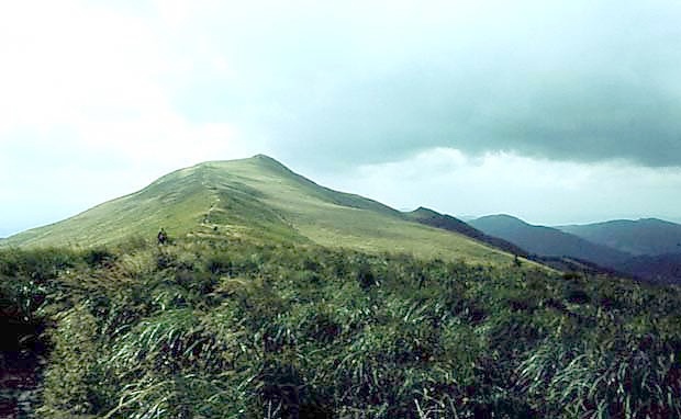 Charakterystyczny, trawiasty grzbiet poonin