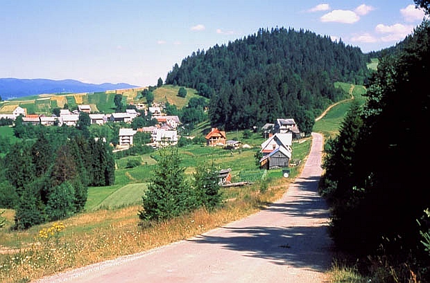 Zjawisko urbanizacji pogranicza parku