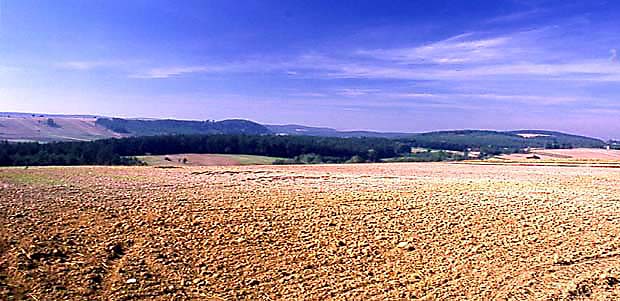 Falisty krajobraz rolniczy, urozmaicony lasami na wzniesieniach.