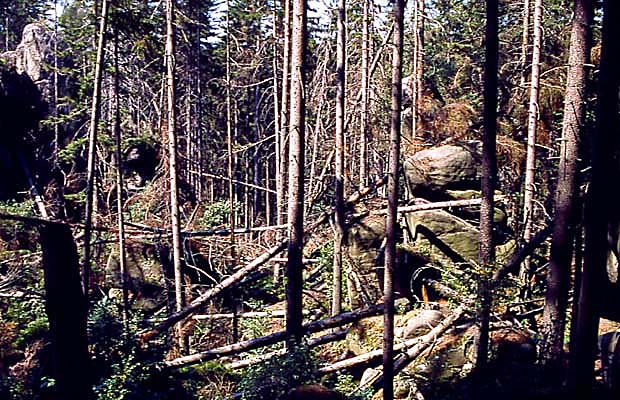 Rozpad antropogenicznej wierczyny