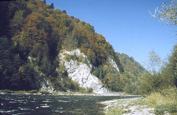 Dunajec pod Zawiesami