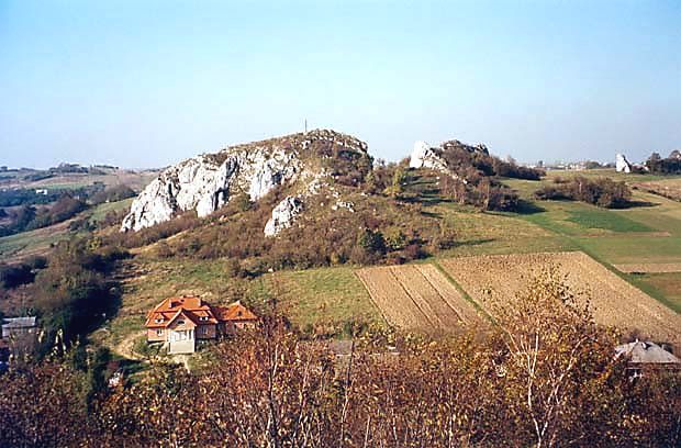 Grodzisko w Jerzmanowicach