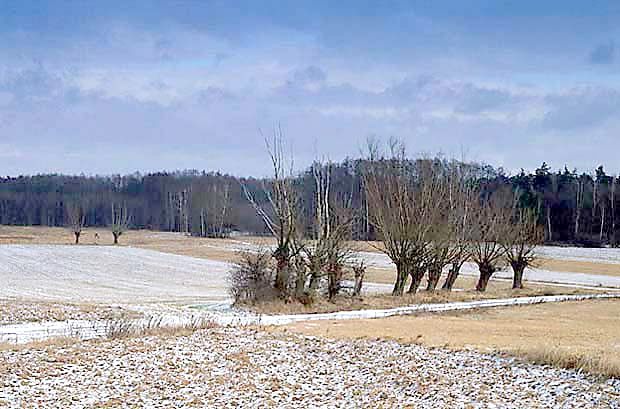 Enklawy bezlene, uytkowane rolniczo