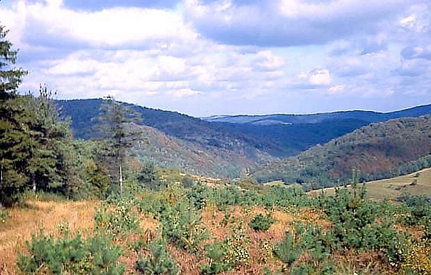 Krajobraz d. wsi ydowskie