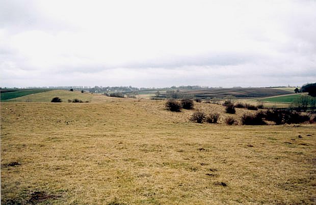 Rezerwat przyrody "Sule Wzgrza"