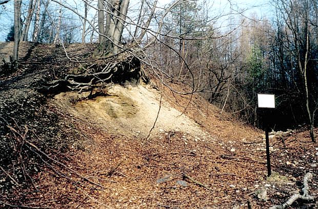 Stanowisko dok. "Odkrywka Nowa Krystyna II"