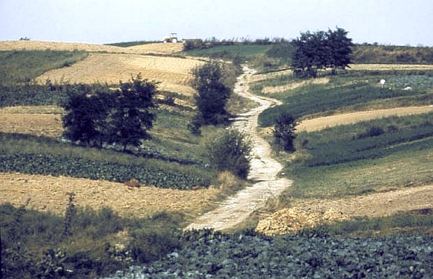 Kolorowa mozaika pl i k