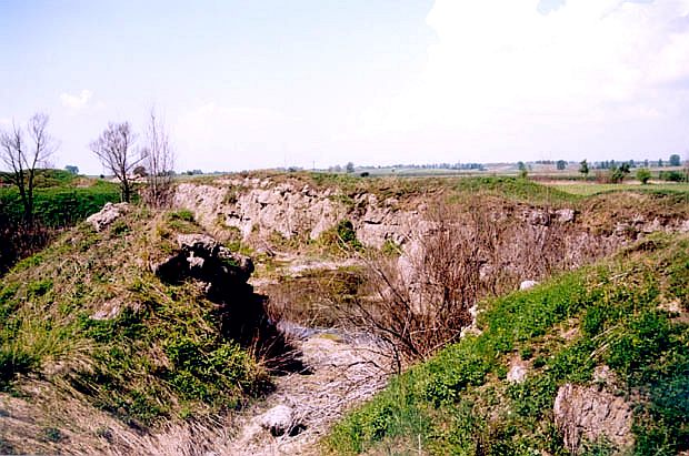 omy w Gartatowicach.