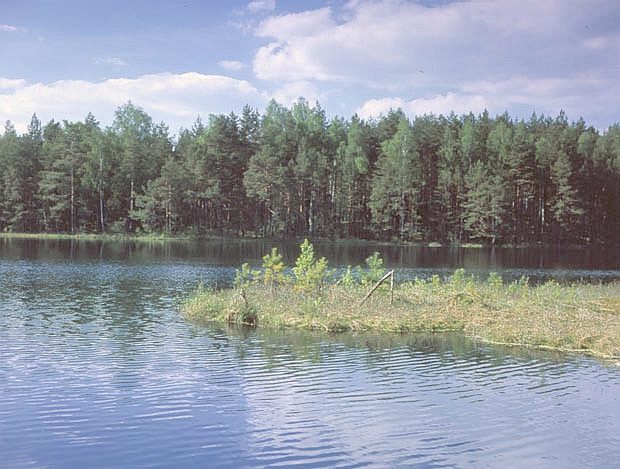 Rezerwat "Tobolinka"