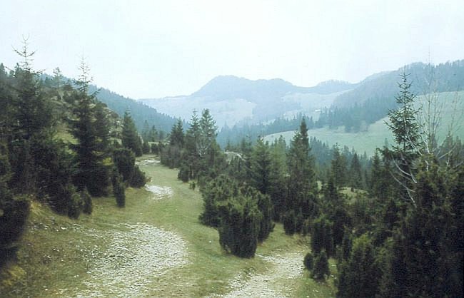 Krajobraz Maych Pienin