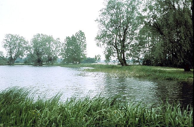 Krajobraz rezerwatu - groble i stawy.