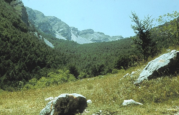 Park Narodowy Abruzzw