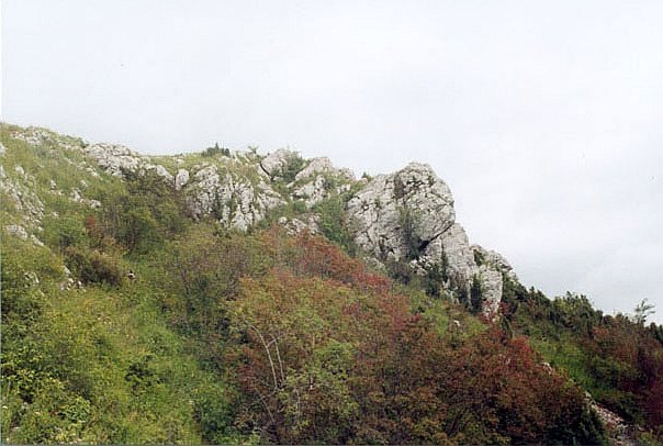 Naturalne formy skakowe w szczytowej partii gry Miedzianki