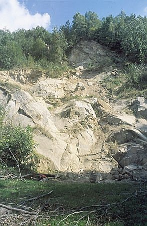 Odsonicie gruboawicowych piaskowcw istebniaskich w kamienioomie w rejonie Frysztaka