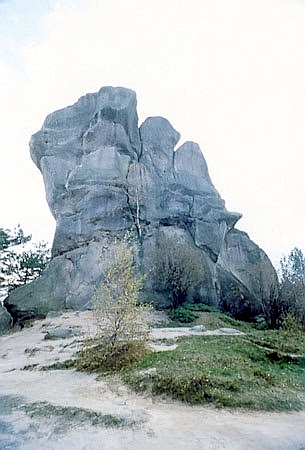 Skaki nalece do grupy ''Przdek''