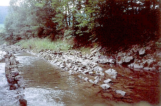 Potok Skwka w Ropicy Grnej