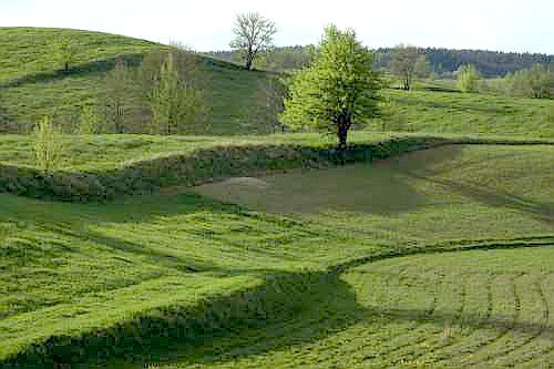 Morenowy krajobraz okolic wsi Leszczewo