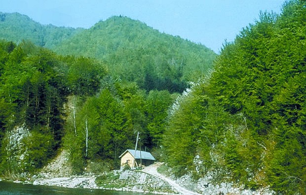 Rezerwat "Kodne nad Dunajcem"