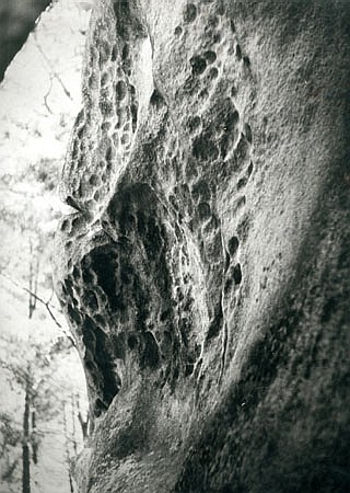 Struktury komrkowe (plastrowe) na powierzchni skaki