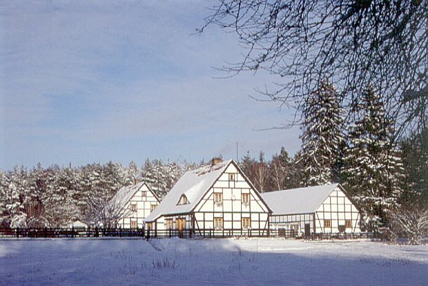 Zabytkowa osada Ostrowiec w granicach Parku