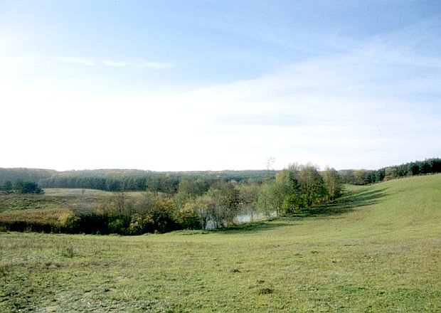 Dolina Mierzckiej Strugi