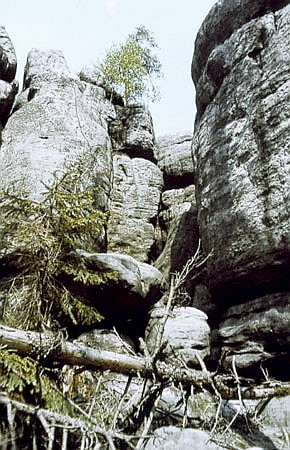 Zwietrzae kolumny przy krawdzi masywu