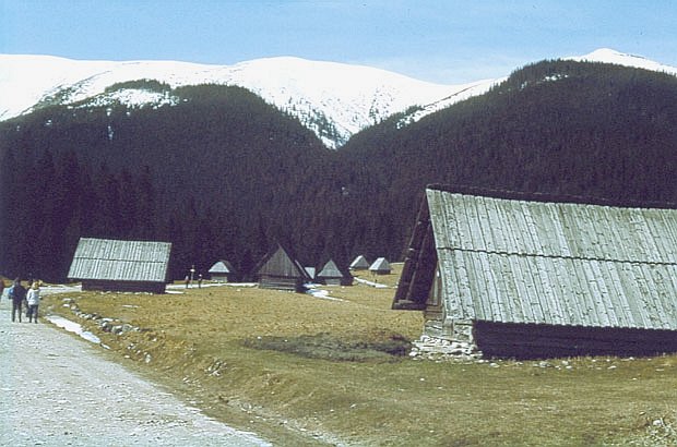 Szaasy na Polanie Chochoowskiej