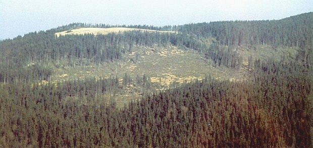 GPN - gooer zasnui Fallena pod Mostownic