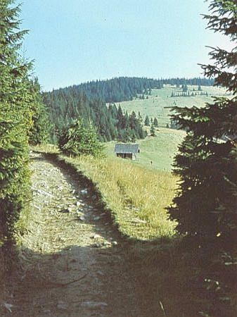 Polany wypasowe w rejonie Gorca