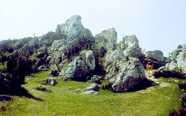 Rezerwat "Gra Zborw"