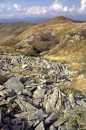 Pod szczytem Tarnicy