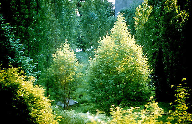 Ziele powojennych osiedli