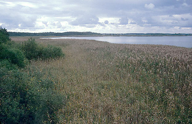 Rezerwat "Jezioro uknajno"