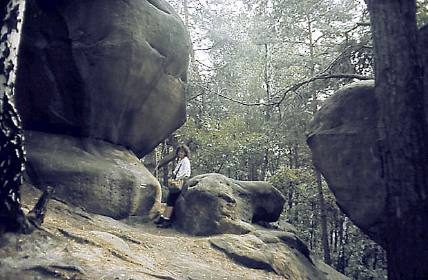 Rezerwat "Skamieniae Miasto"