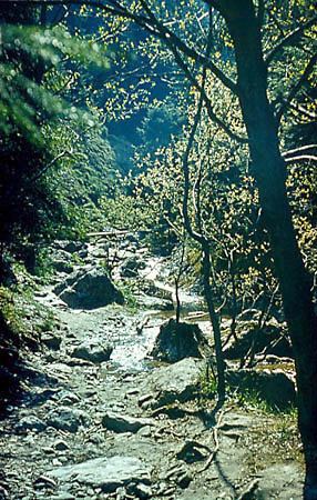 Rezerwat "Wwz Homole"